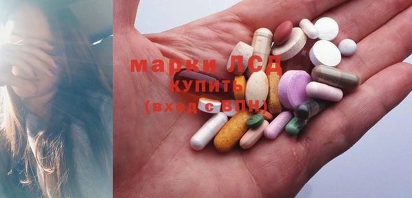 прущие грибы Белая Холуница