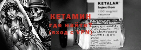 прущие грибы Белая Холуница