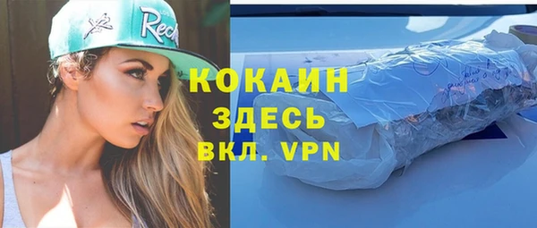 прущие грибы Белая Холуница
