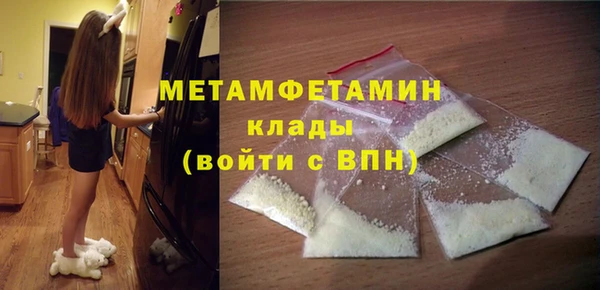 прущие грибы Белая Холуница