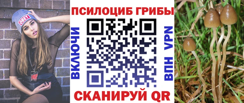 Псилоцибиновые грибы мицелий  darknet официальный сайт  Ковдор  где купить наркотик 